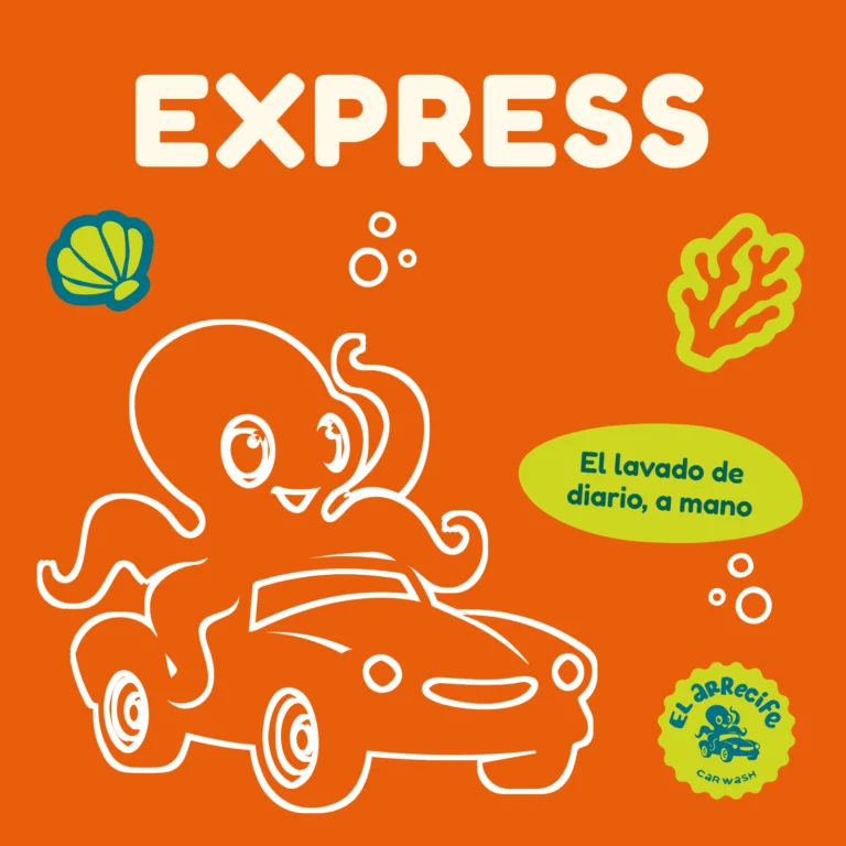 Paquete Express de El Arrecife: pulpo lavando un auto sobre fondo naranja. El lavado de diario, a mano.